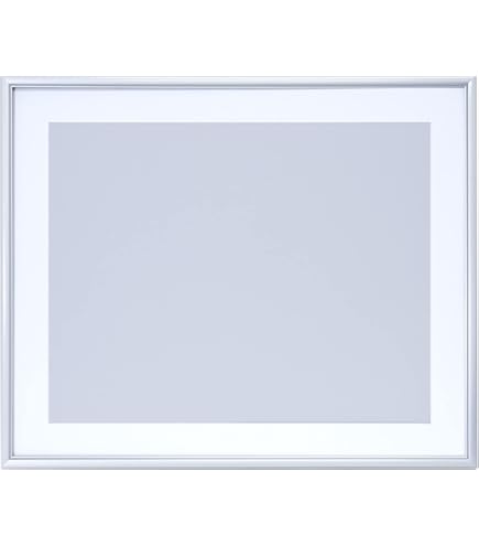Amazon.co.jp: FUJICOLOR 額縁 A10N 全紙 アルミ シルバー 17614